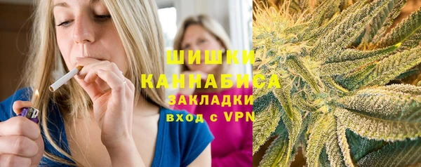 spice Снежногорск