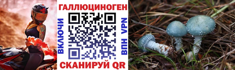 Галлюциногенные грибы Cubensis  цены   Шиханы 